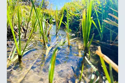 Rosebush Road, Canon City, CO 81212 - Photo 5