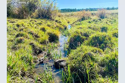 Rosebush Road, Canon City, CO 81212 - Photo 3
