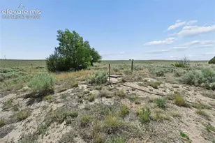 13860 Hobby Horse Ln, Colorado Springs, CO 80928 - Photo 45
