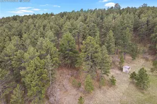 17520 Shiloh Pines Dr, Monument, CO 80132 - Photo 39