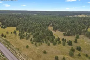 10437 Alamar Wy, Colorado Springs, CO 80908 - Photo 1