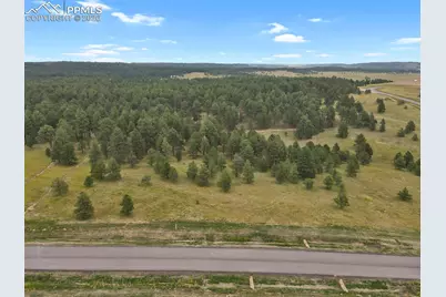 10437 Alamar Way, Colorado Springs, CO 80908 - Photo 3