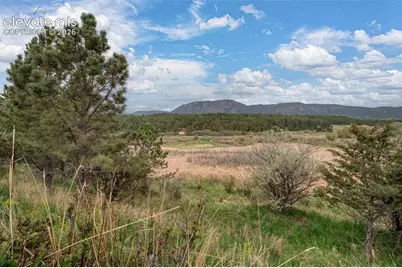 367 Raspberry Lane, Monument, CO 80132 - Photo 25