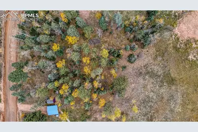 166 Denwood Drive, Florissant, CO 80816 - Photo 9