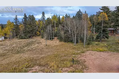 166 Denwood Drive, Florissant, CO 80816 - Photo 13