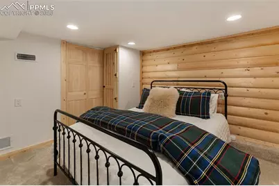 45 Conductor Lane, Lake George, CO 80827 - Photo 31