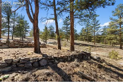 45 Conductor Lane, Lake George, CO 80827 - Photo 43