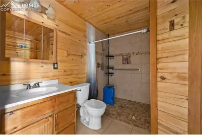 927 Stonehenge Drive, Florissant, CO 80816 - Photo 21