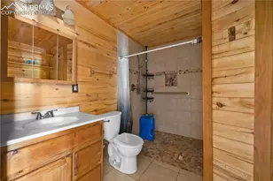 927 Stonehenge Dr, Florissant, CO 80816 - Photo 21