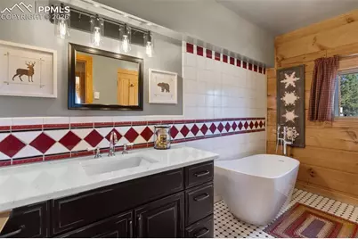 558 Hawk Lane, Florissant, CO 80816 - Photo 29