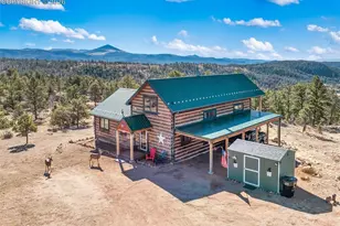 558 Hawk Ln, Florissant, CO 80816 - Photo 5