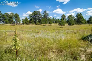 16759 Winsome Wy, Colorado Springs, CO 80908 - Photo 1