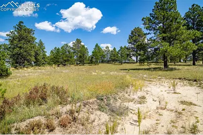 16759 Winsome Way, Colorado Springs, CO 80908 - Photo 3
