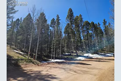 550 Manchester Drive, Florissant, CO 80816 - Photo 1