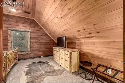 116 Dakota Path, Lake George, CO 80827 - Photo 21