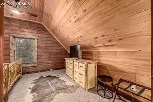 116 Dakota Path, Lake George, CO 80827 - Photo 21