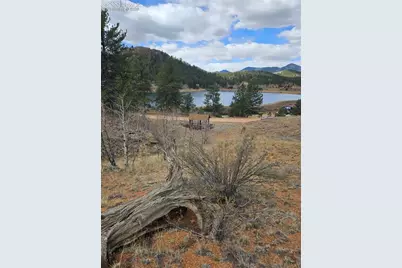 635 Sleepy Joe Drive, Lake George, CO 80827 - Photo 27