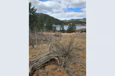 635 Sleepy Joe Drive, Lake George, CO 80827 - Photo 45
