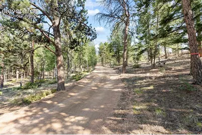 2270 Pikes Peak Drive, Florissant, CO 80816 - Photo 43