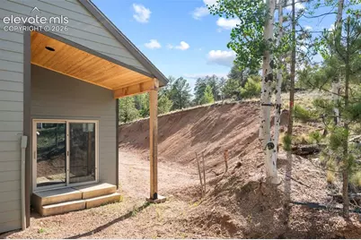 2270 Pikes Peak Drive, Florissant, CO 80816 - Photo 35