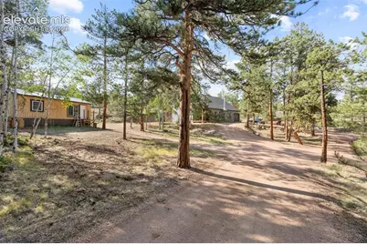 2270 Pikes Peak Drive, Florissant, CO 80816 - Photo 41