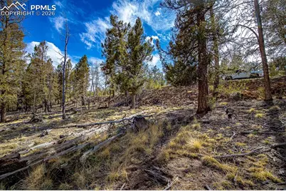 5302 Middle Fork Vista, Fairplay, CO 80440 - Photo 35