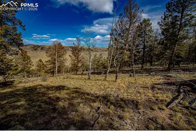 5302 Middle Fork Vista, Fairplay, CO 80440 - Photo 37