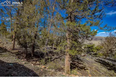 5302 Middle Fork Vista, Fairplay, CO 80440 - Photo 29