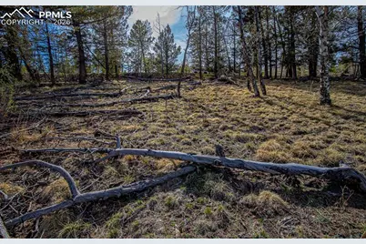 5302 Middle Fork Vista, Fairplay, CO 80440 - Photo 39