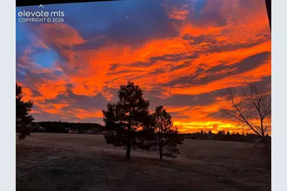 17067 Blue Mist Grove, Monument, CO 80132 - Photo 23