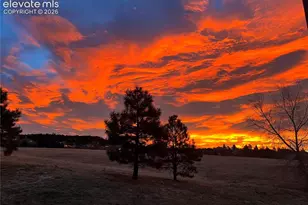 17067 Blue Mist Grove, Monument, CO 80132 - Photo 25
