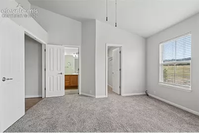 17067 Blue Mist Grove, Monument, CO 80132 - Photo 11
