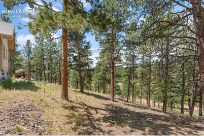 319 Maroon Lake Circle, Divide, CO 80814 - Photo 23