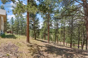 319 Maroon Lake Cir, Divide, CO 80814 - Photo 23