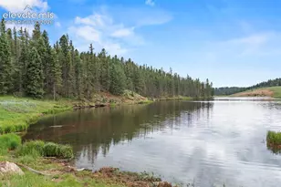 319 Maroon Lake Cir, Divide, CO 80814 - Photo 31