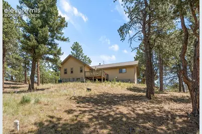 319 Maroon Lake Circle, Divide, CO 80814 - Photo 25
