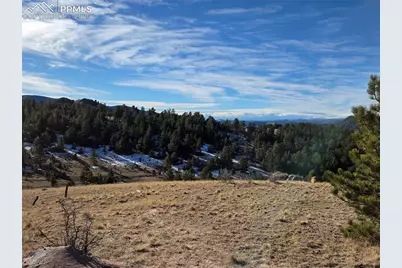 409 Wind Dancer Circle, Florissant, CO 80816 - Photo 19