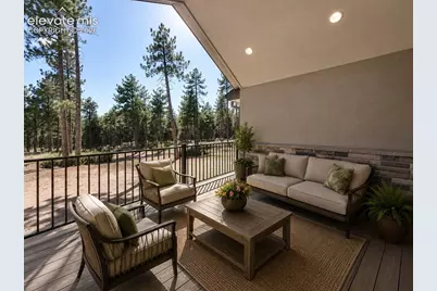 3135 Promise Point, Colorado Springs, CO 80921 - Photo 9
