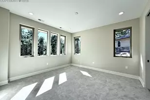 3135 Promise Pt, Colorado Springs, CO 80921 - Photo 19