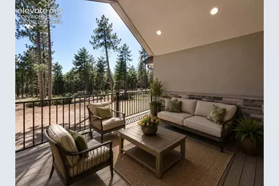 3135 Promise Point, Colorado Springs, CO 80921 - Photo 9
