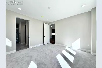 3135 Promise Point, Colorado Springs, CO 80921 - Photo 21