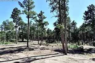 3135 Promise Pt, Colorado Springs, CO 80921 - Photo 29