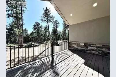 3135 Promise Point, Colorado Springs, CO 80921 - Photo 15