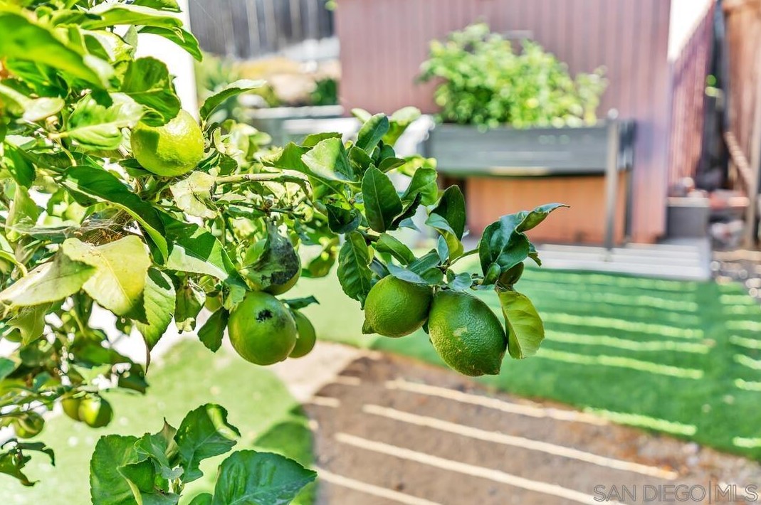 7523 Golfcrest Dr, San Diego CA 92119-1228 exterior