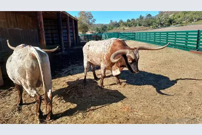  16757 Old Guejito Grade Road, Escondido, CA 92027 - Photo 57