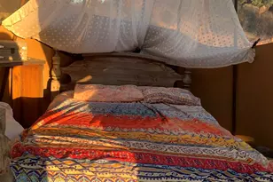 25675 Potrero Park Dr, Potrero, CA 91963 - Photo 39