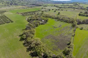 8645 County Rd 49, Guinda, CA 95637 - Photo 45