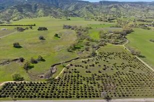 8645 County Rd 49, Guinda, CA 95637 - Photo 5