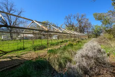 8645 County Road 49, Guinda, CA 95637 - Photo 41