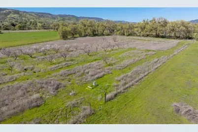 8645 County Road 49, Guinda, CA 95637 - Photo 43